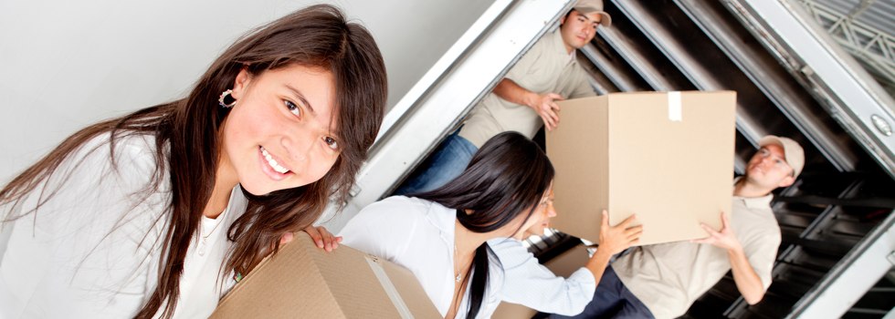 Professional Removalists Macquarie Centre